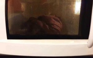 dry clothes in microwave